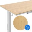 Newai állítható magasságú elektromos íróasztal, 120x60cm, bézs