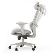 Ergonomikus irodai forgószék Neyo deréktámasz, fejtámla, háló, szürke