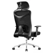 Ergonomikus irodai forgószék, deréktámasszal, 2D háttámla hálós anyaggal, fekete