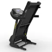 Robust GT20 futópad