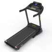 Robust GT20 futópad