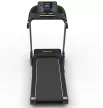 Robust GT20 futópad
